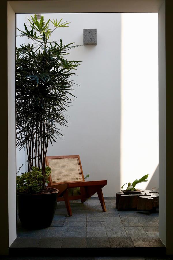 Casa Dovela Apartment เม็กซิโกซิตี้ ภายนอก รูปภาพ