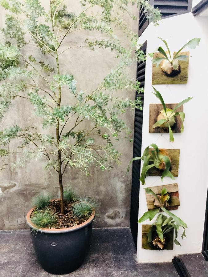 Casa Dovela Apartment เม็กซิโกซิตี้ ภายนอก รูปภาพ